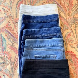 Terra & Sky Women's 2x shorts bundle of 5